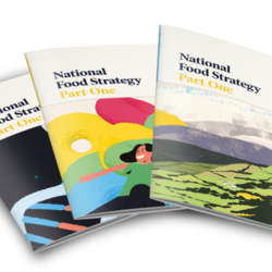 The National Food Strategy - Part 1