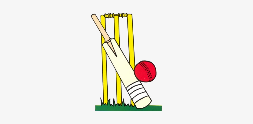 cricket