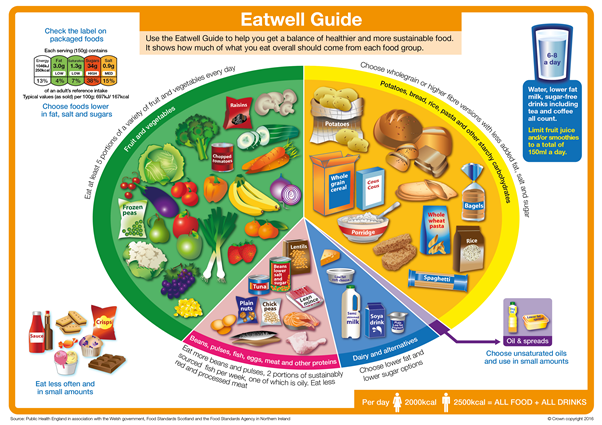 Eat Well Plate