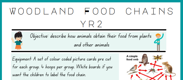 KS1 Woodland Food Chains | School Wellbeing