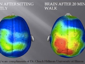 Physically Active Learning